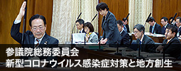 参議院総務委員会 新型コロナウイルス感染症対策と地方創生